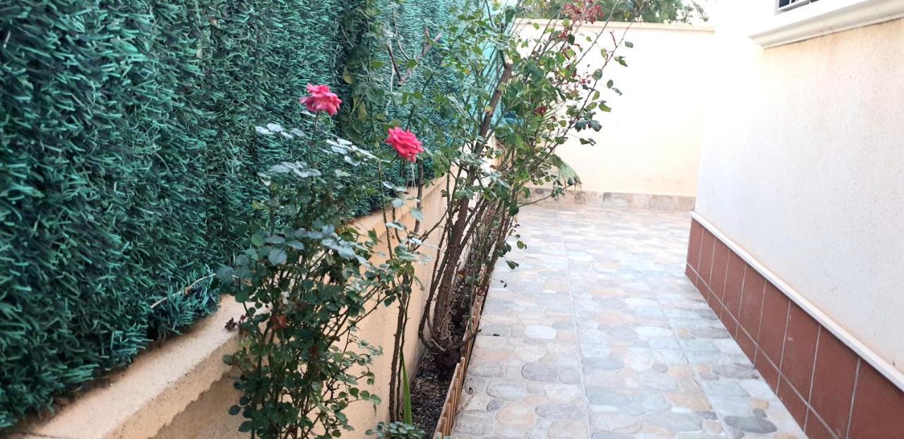 Arco Mediterraneo Chalet Independiente Torrevieja Ngoại thất bức ảnh